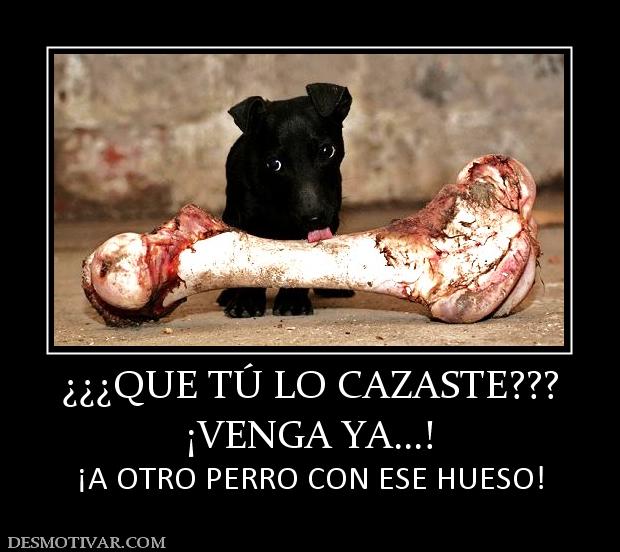 ¿¿¿QUE TÚ LO CAZASTE??? ¡VENGA YA...! ¡A OTRO PERRO CON ESE HUESO!