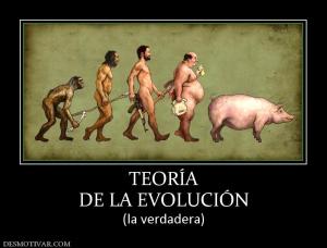 TEORÍA DE LA EVOLUCIÓN (la verdadera)