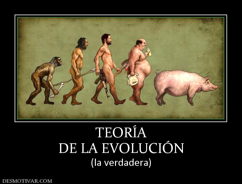 TEORÍA DE LA EVOLUCIÓN (la verdadera)