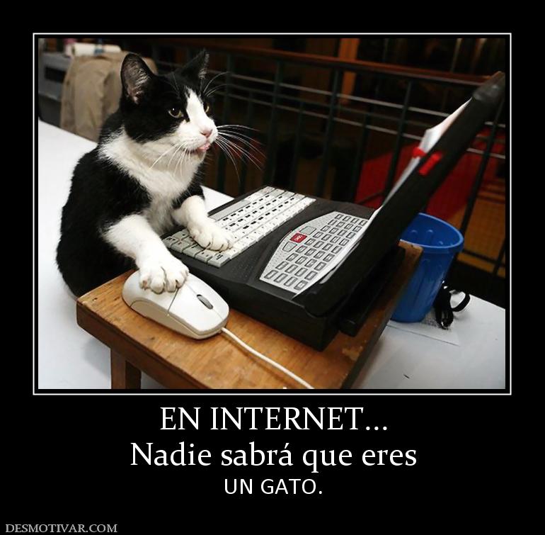 EN INTERNET... Nadie sabrá que eres UN GATO.