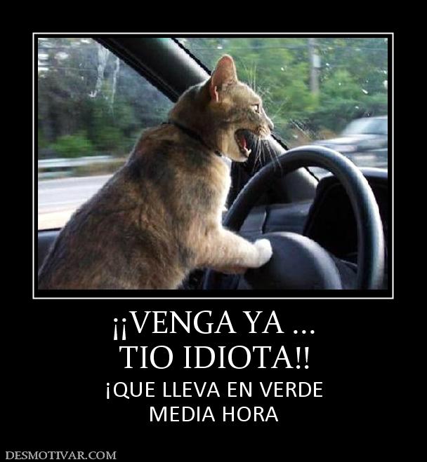 ¡¡VENGA YA ... TIO IDIOTA!! ¡QUE LLEVA EN VERDE MEDIA HORA