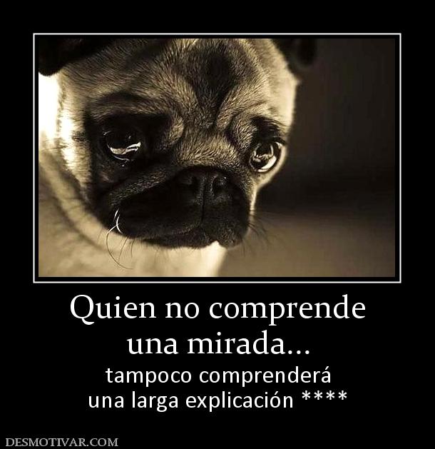 Quien no comprende una mirada... tampoco comprenderá una larga explicación ****