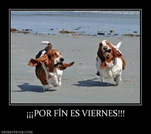 ¡¡¡POR FÍN ES VIERNES!!!