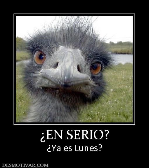 ¿EN SERIO? ¿Ya es Lunes?