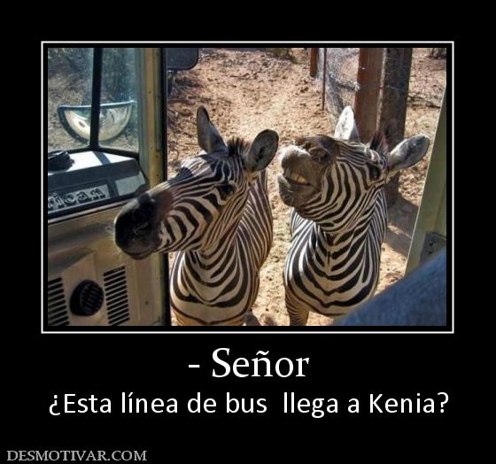 - Señor ¿Esta línea de bus  llega a Kenia?