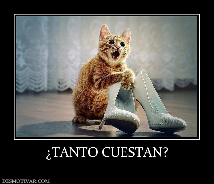 ¿TANTO CUESTAN?