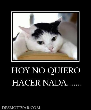 HOY NO QUIERO  HACER NADA.......