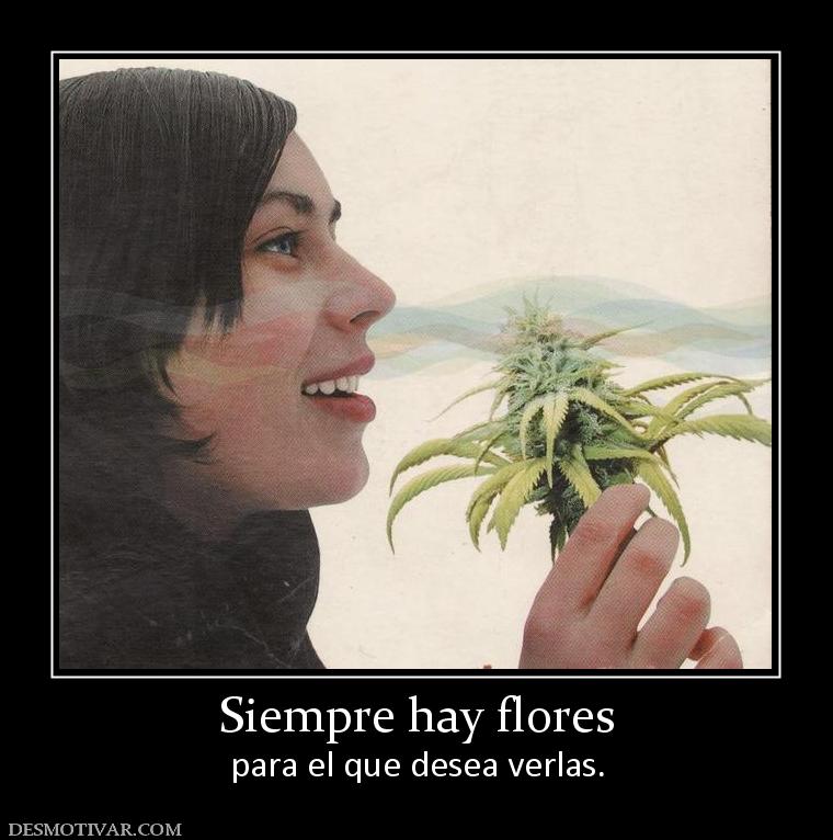 Siempre hay flores para el que desea verlas.