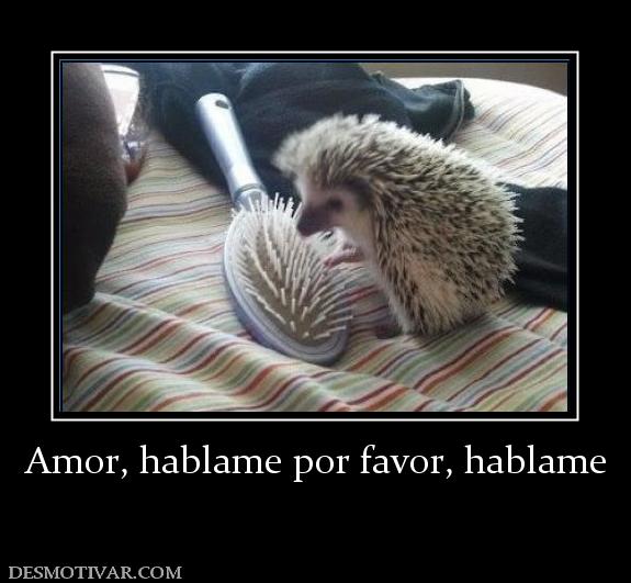 Amor, hablame por favor, hablame