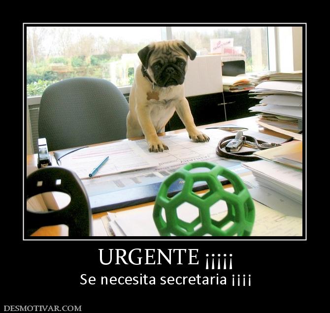 URGENTE ¡¡¡¡¡ Se necesita secretaria ¡¡¡¡