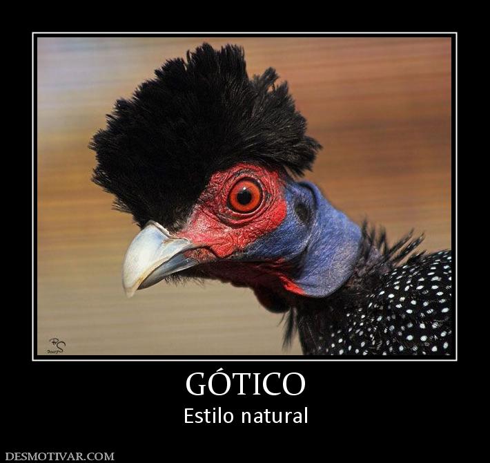 GÓTICO Estilo natural