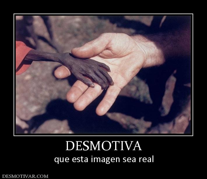 DESMOTIVA que esta imagen sea real