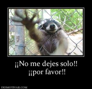 ¡¡No me dejes solo!!  ¡¡por favor!!