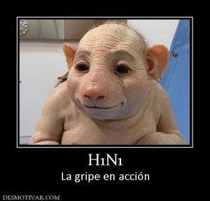 H1N1 La gripe en acción