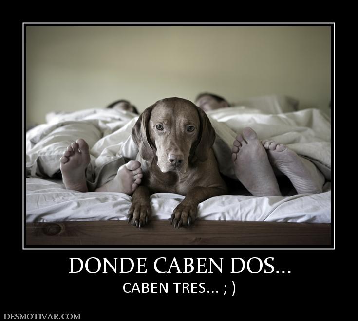 DONDE CABEN DOS... CABEN TRES... ; )