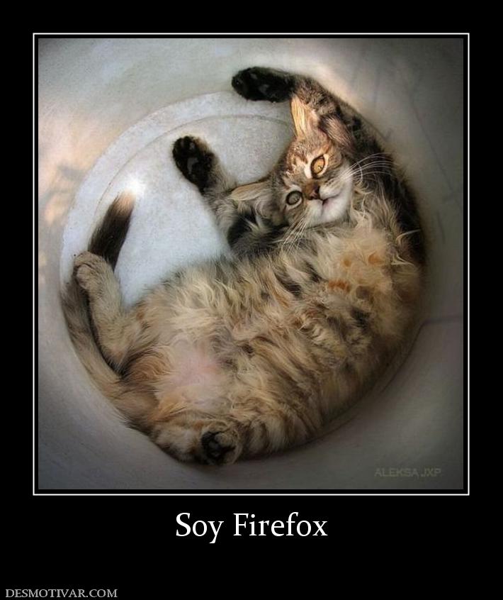 Soy Firefox