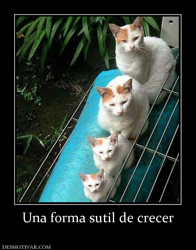 Una forma sutil de crecer