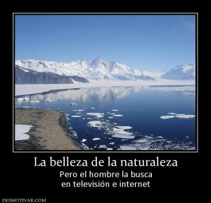 La belleza de la naturaleza Pero el hombre la busca en televisión e internet