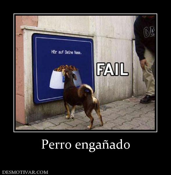 Perro engañado