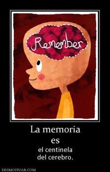 La memoria es el centinela del cerebro.