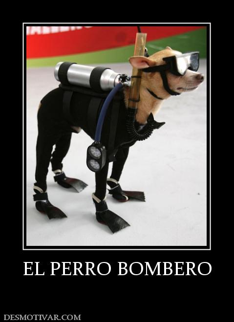 EL PERRO BOMBERO