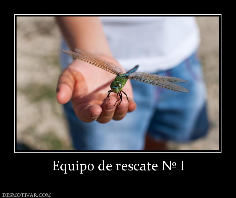 Desmotivaciones Equipo de rescate Nº I