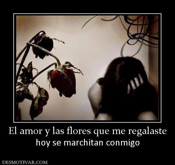 El amor y las flores que me regalaste hoy se marchitan conmigo