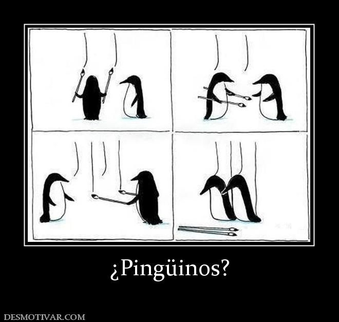 ¿Pingüinos?