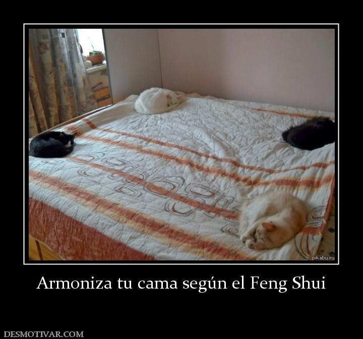 Armoniza tu cama según el Feng Shui