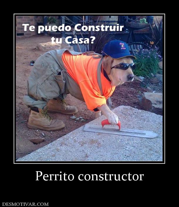 Perrito constructor