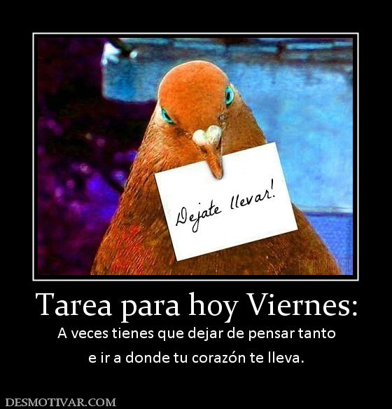 Tarea para hoy Viernes: A veces tienes que dejar de pensar tanto e ir a donde tu corazón te lleva.