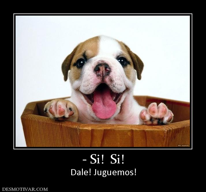 - Si!  Si! Dale! Juguemos!