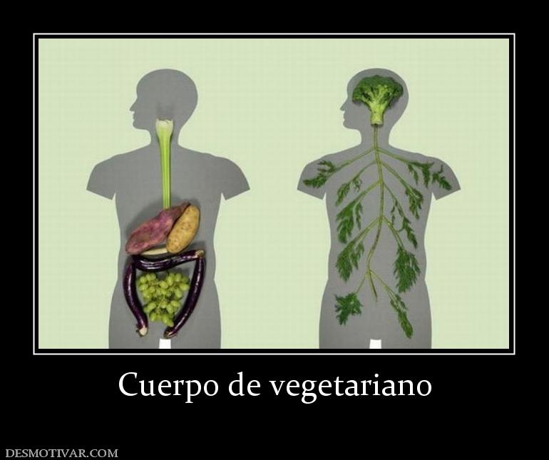 Cuerpo de vegetariano