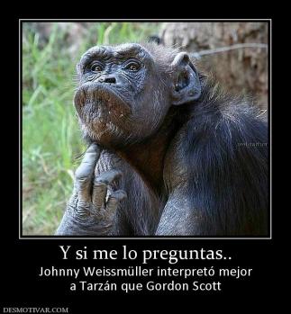 Y si me lo preguntas.. Johnny Weissmüller interpretó mejor a Tarzán que Gordon Scott