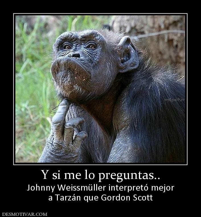 Y si me lo preguntas.. Johnny Weissmüller interpretó mejor a Tarzán que Gordon Scott