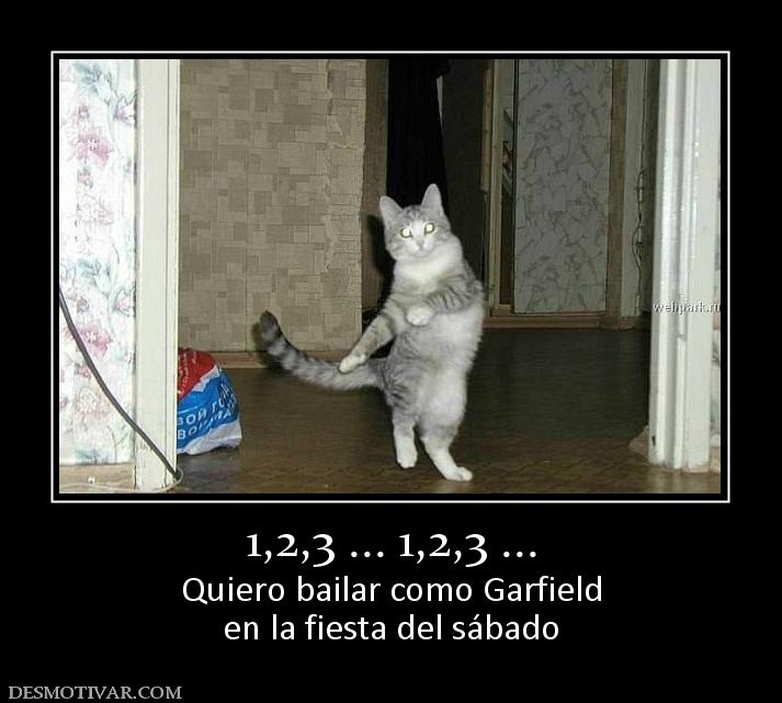 1,2,3 ... 1,2,3 ... Quiero bailar como Garfield en la fiesta del sábado