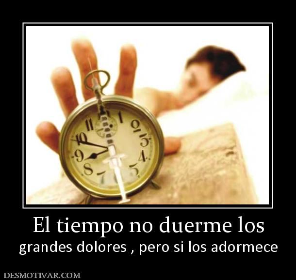 El tiempo no duerme los grandes dolores , pero si los adormece