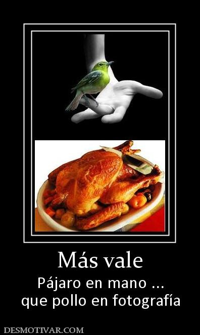 Más vale Pájaro en mano ... que pollo en fotografía