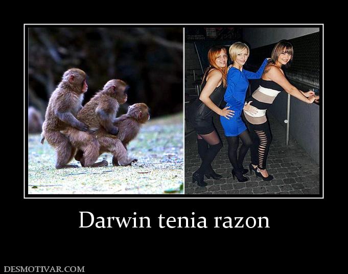 Darwin tenia razon