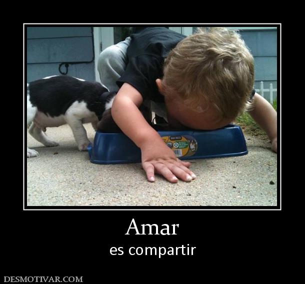 Amar es compartir