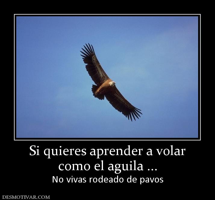 Si quieres aprender a volar como el aguila ... No vivas rodeado de pavos