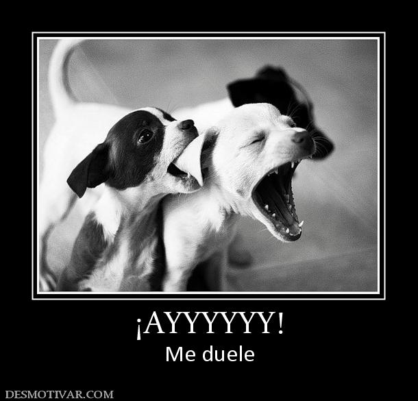 ¡AYYYYYY! Me duele