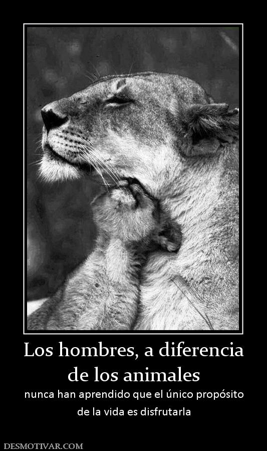 Los hombres, a diferencia de los animales nunca han aprendido que el único propósito de la vida es disfrutarla