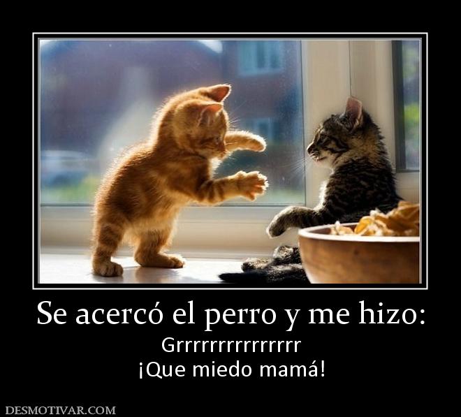 Se acercó el perro y me hizo: Grrrrrrrrrrrrrrr ¡Que miedo mamá!