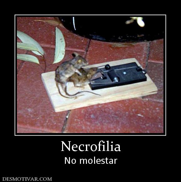 Necrofilia No molestar