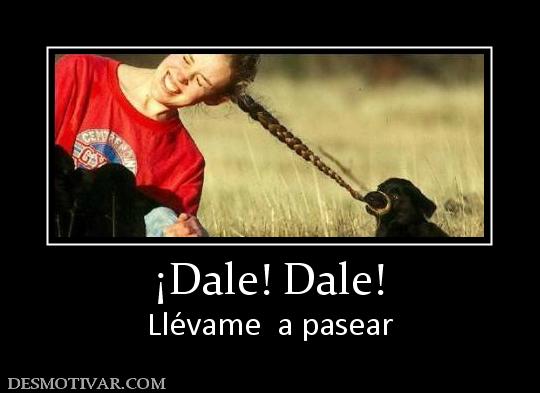 ¡Dale! Dale! Llévame  a pasear