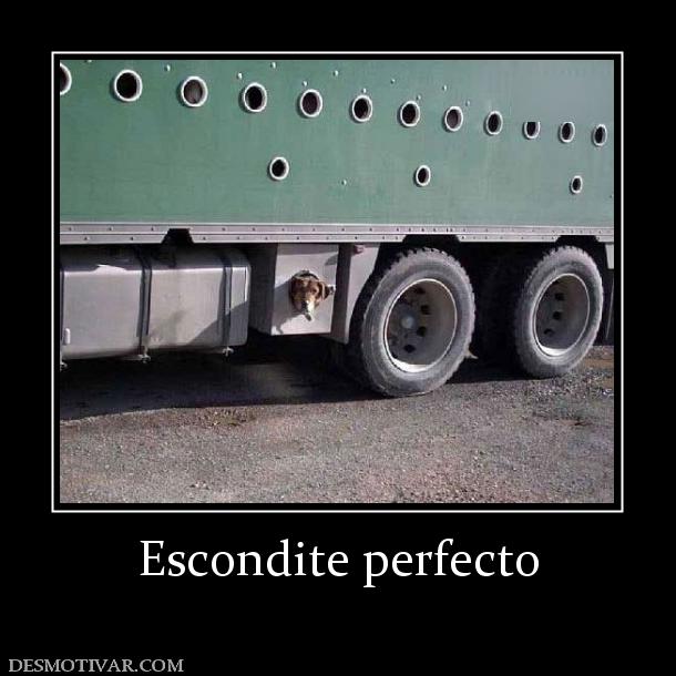 Escondite perfecto