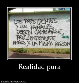 Realidad pura