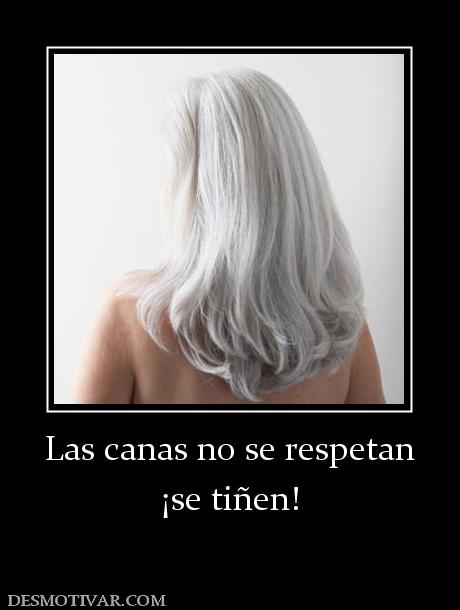 Las canas no se respetan ¡se tiñen!