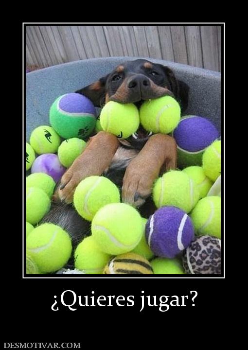 ¿Quieres jugar?